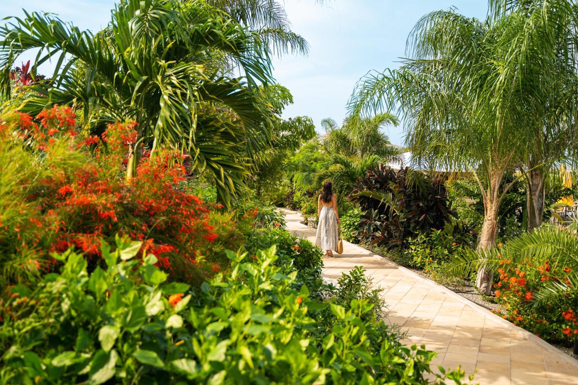 Golden Rock Dive And Nature Resort Oranjestad  Extérieur photo